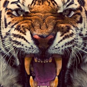 Meet your Posher, Huehue